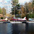 Historische Wasserflugzeuge am Moosehead Lake USA