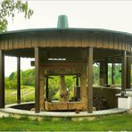 Historische Weinpresse