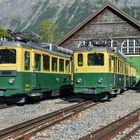 Historische Züge der Berner Oberland Bahn