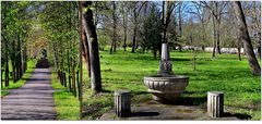 + Historischen Friedhof in Weimar +