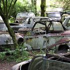 historischer Auto-Friedhof Gürbetal