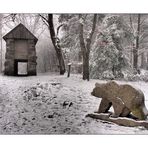 Historischer Bärenfang am Waldstein