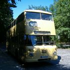 Historischer BVG BUS im Grunewald Berlin.