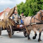 Historischer Festumzug