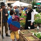 Historischer Markt in Solothurn