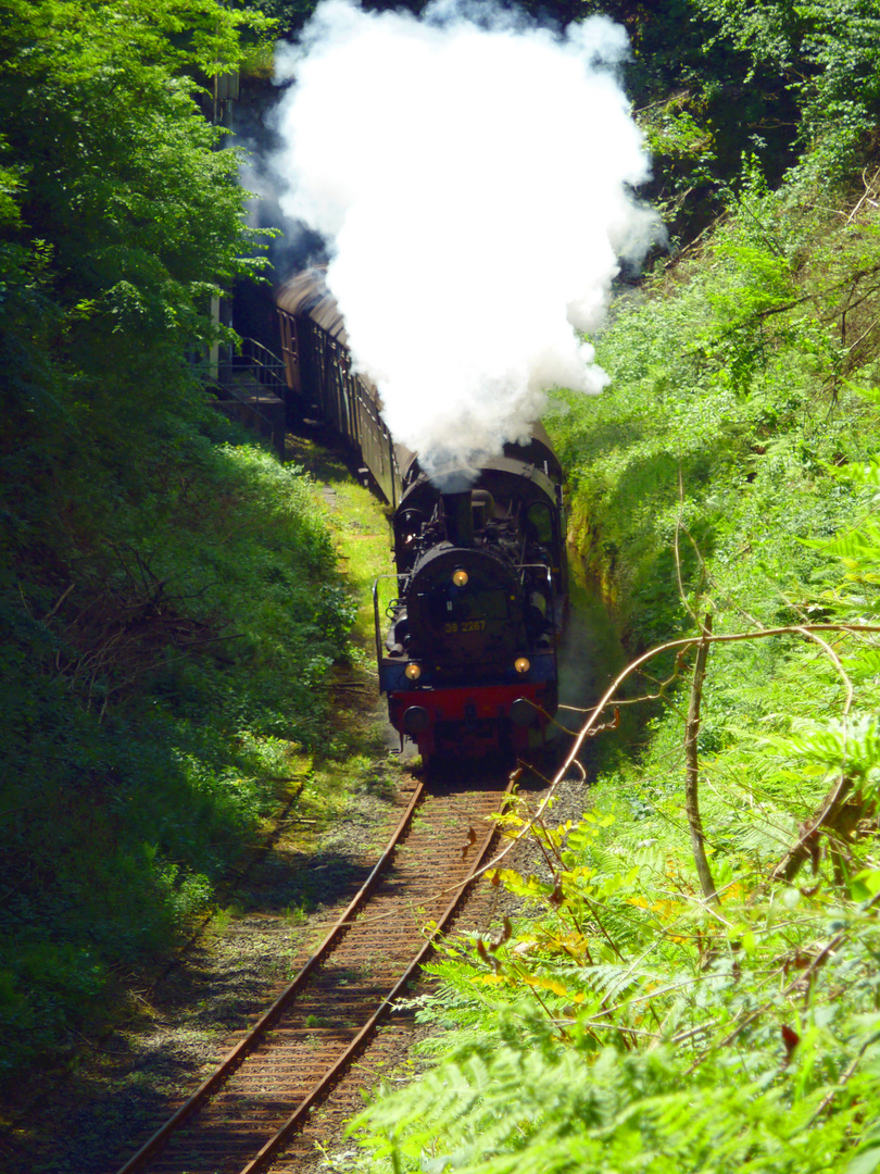 Historischer Museumszug, Ausfahrt aus dem Ender Tunnel in Herdecke