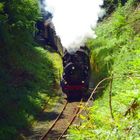 Historischer Museumszug, Ausfahrt aus dem Ender Tunnel in Herdecke