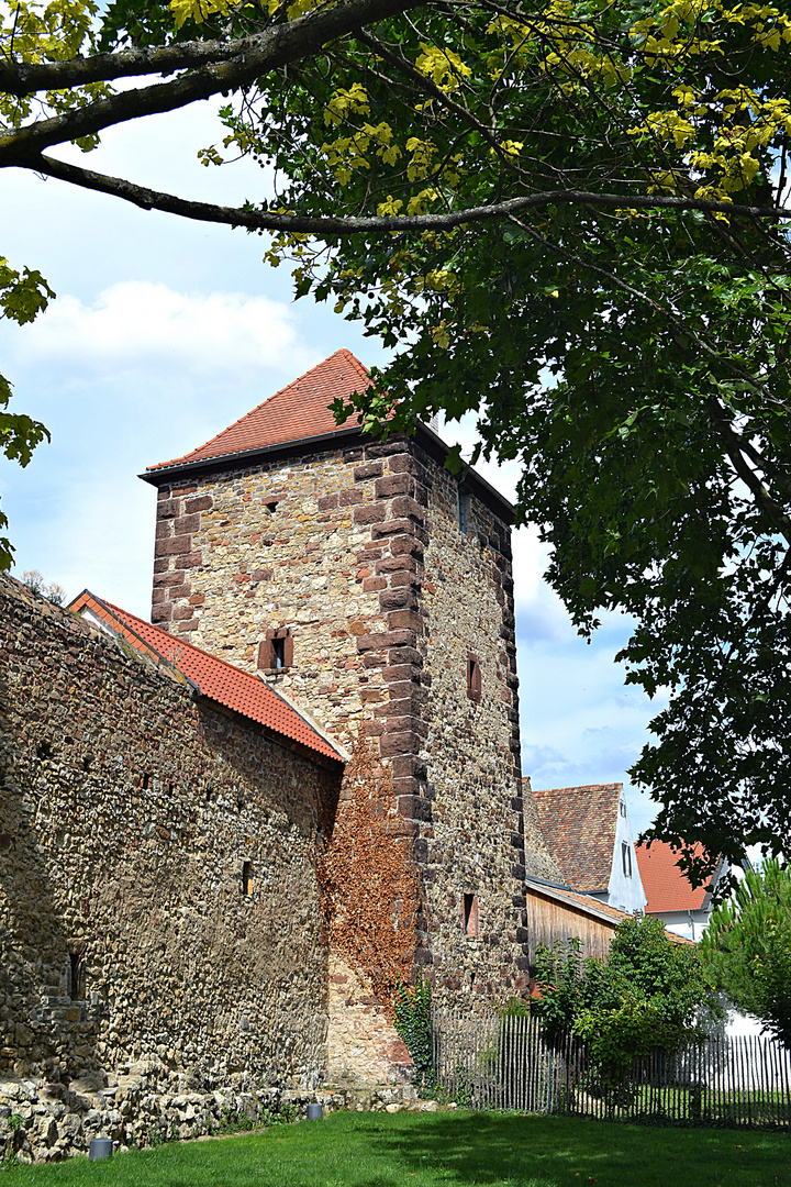 Historischer Ortskern - Altstadt Freinsheim