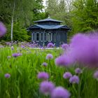 Historischer Pavillon mit Riesenlauch