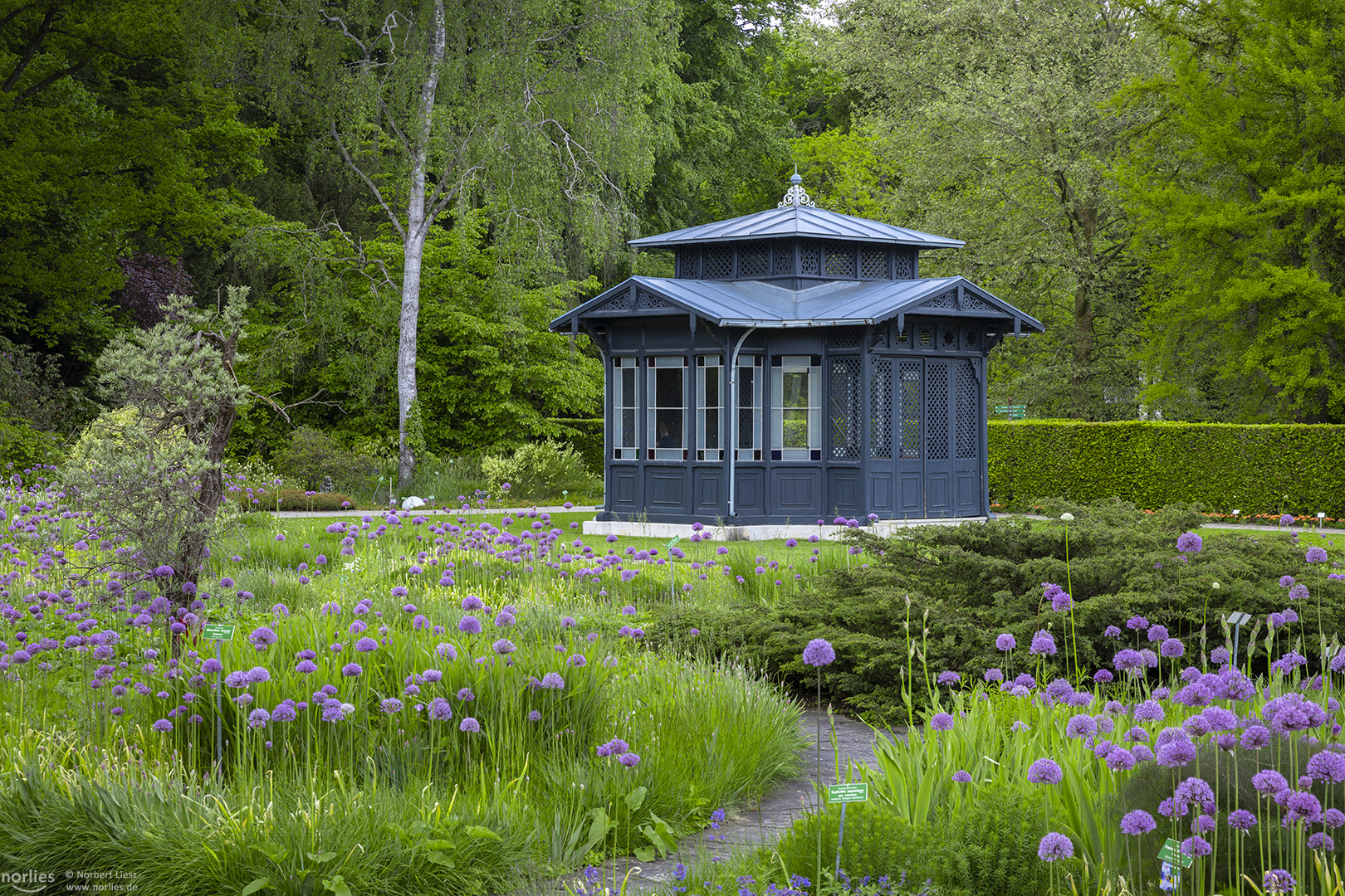 Historischer Pavillon mit Zierlauch