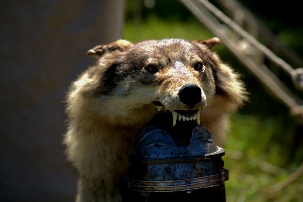 Historischer Römerhelm mit Wolf-Aufsatz