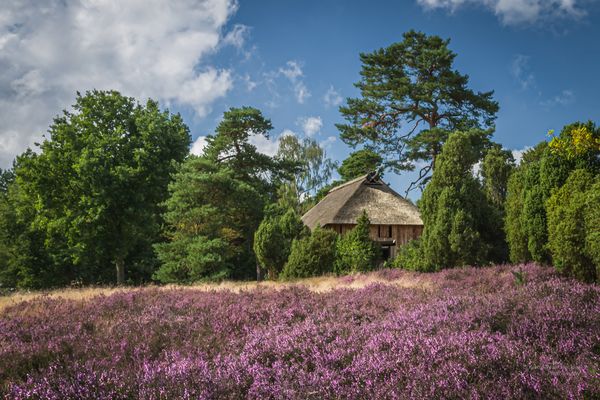 Historischer Schafstall