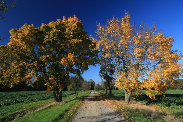 historischer Weg übers Land