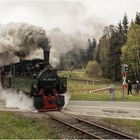 historischer Zug (06.05.2017) #10