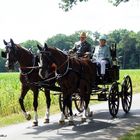 Historisches    Fahren 