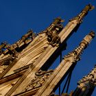 Historisches Rathaus Münster IV