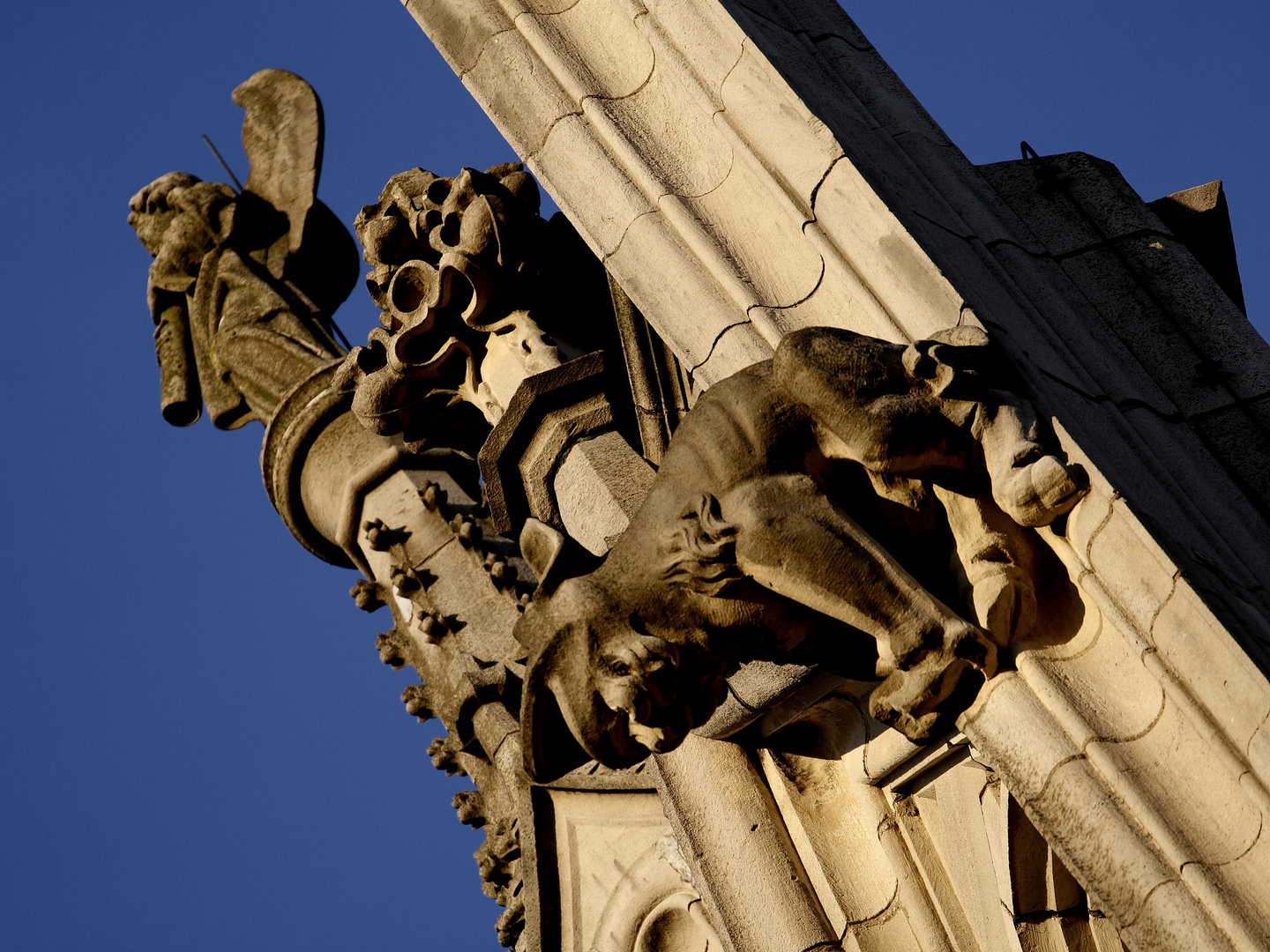 Historisches Rathaus Münster V