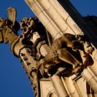 Historisches Rathaus Münster V