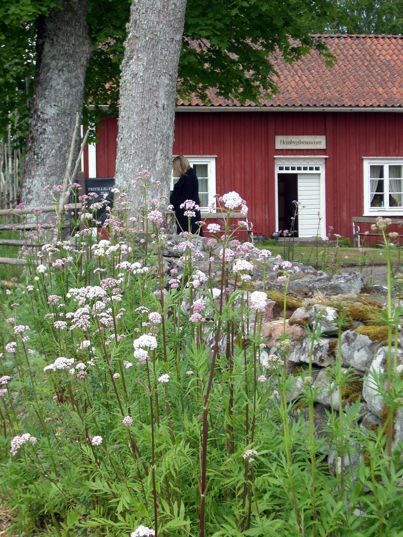 Historisches Schwedenhaus