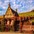 Historisches Weinberghäuschen bei Heilbronn