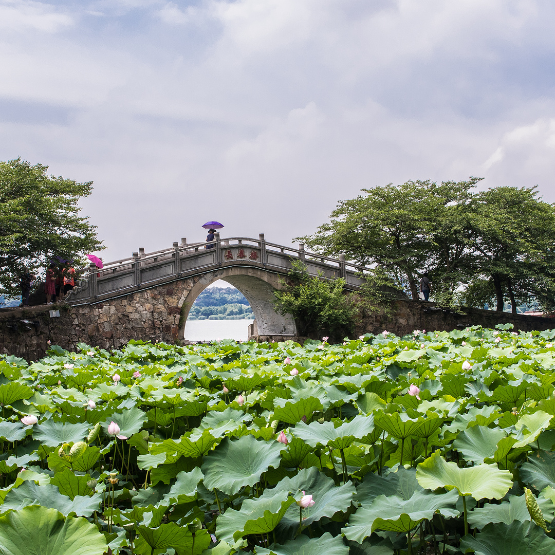 History Park Wuxi