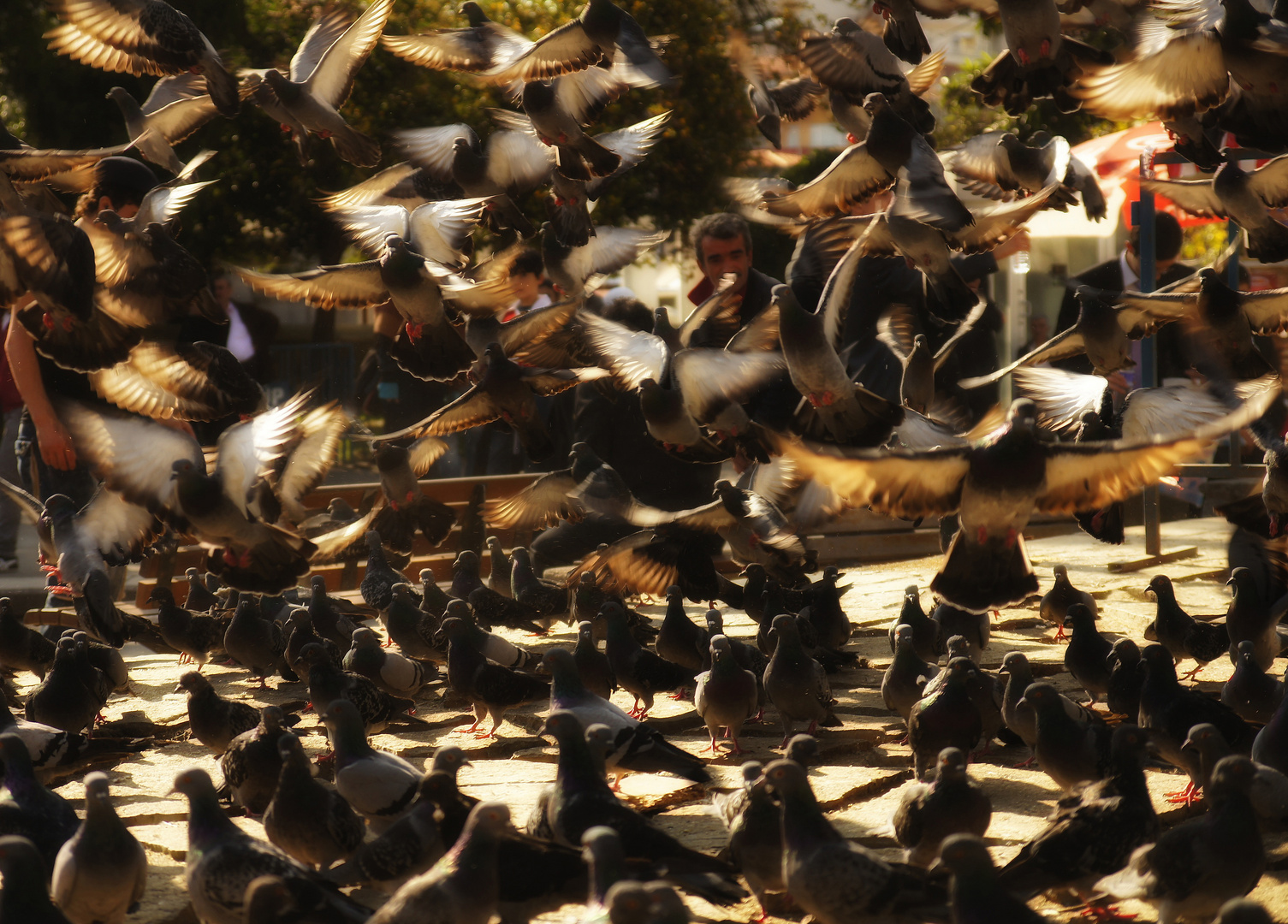 Hitchcock in Istanbul