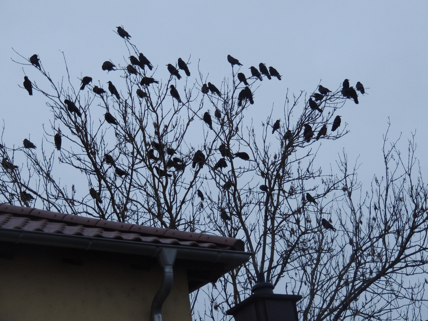 Hitchcock lässt grüßen!