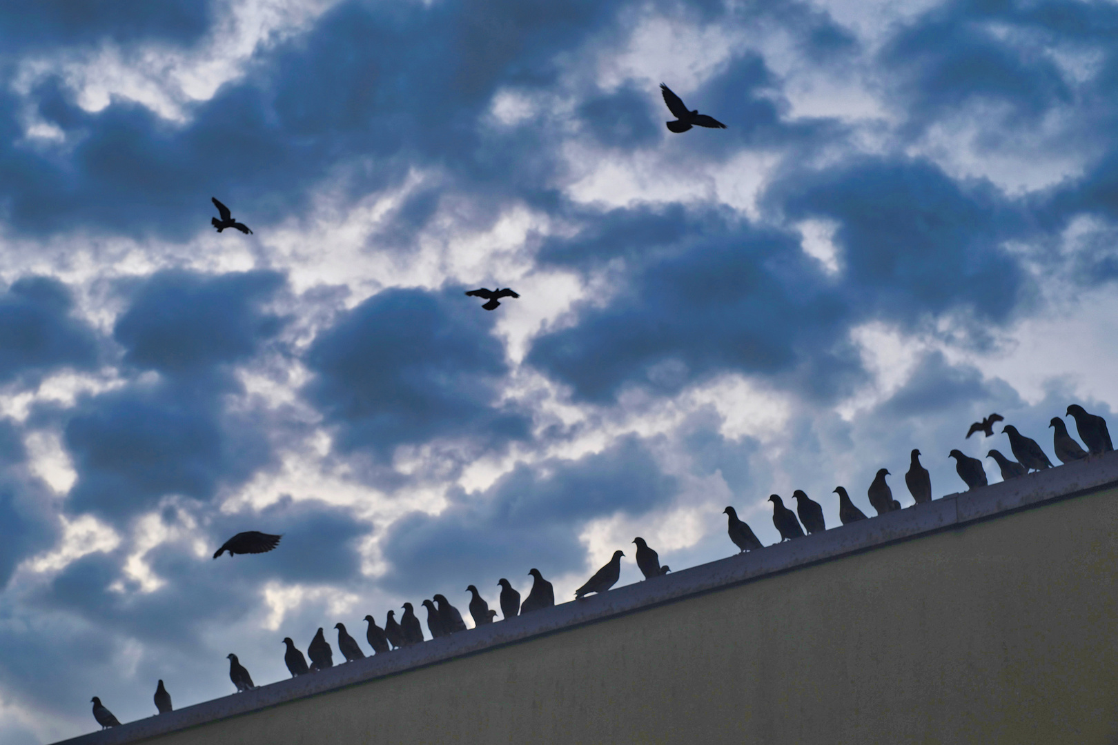 Hitchcock läßt grüßen