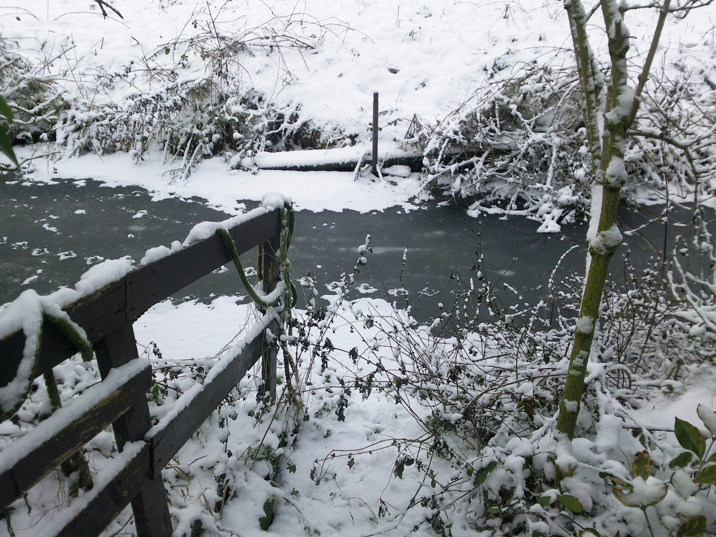 Hiver 2011,le petit pont...