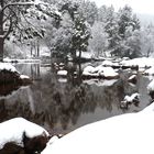 Hiver à Barrès