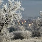 Hiver à bousbach