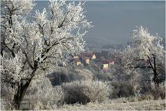 Hiver à bousbach