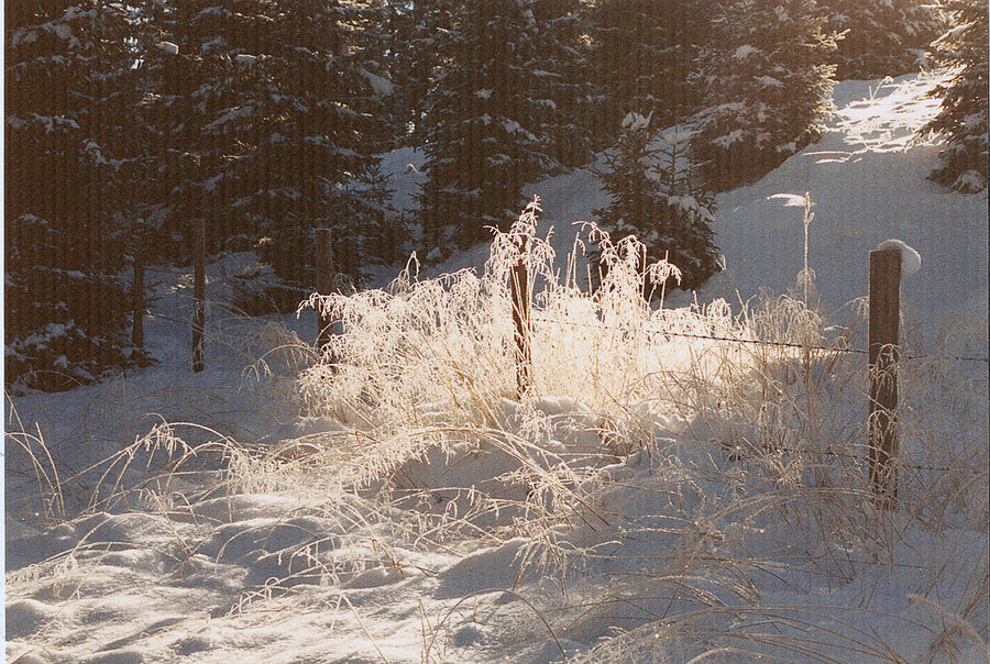 Hiver au l'Autriche