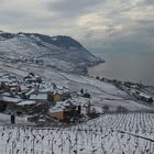 Hiver dans le Lavaux