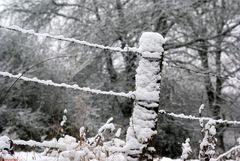 Hiver dans ma région