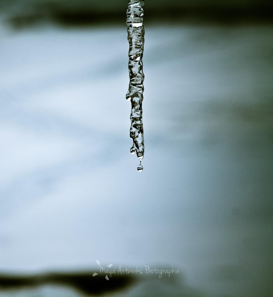 Hiver de glace.