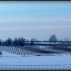 HIVER en ALSACE - 27-