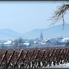 HIVER en ALSACE - 28 -