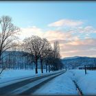 HIVER en ALSACE - 29