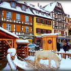 HIVER en ALSACE - 39 - 