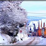 HIVER en ALSACE - 7 - 