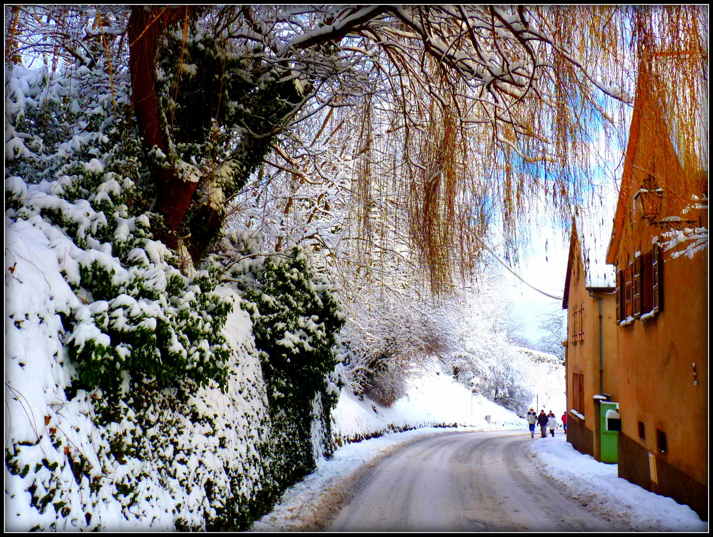 HIVER en ALSACE - 9 - 