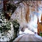 HIVER en ALSACE - 9 - 