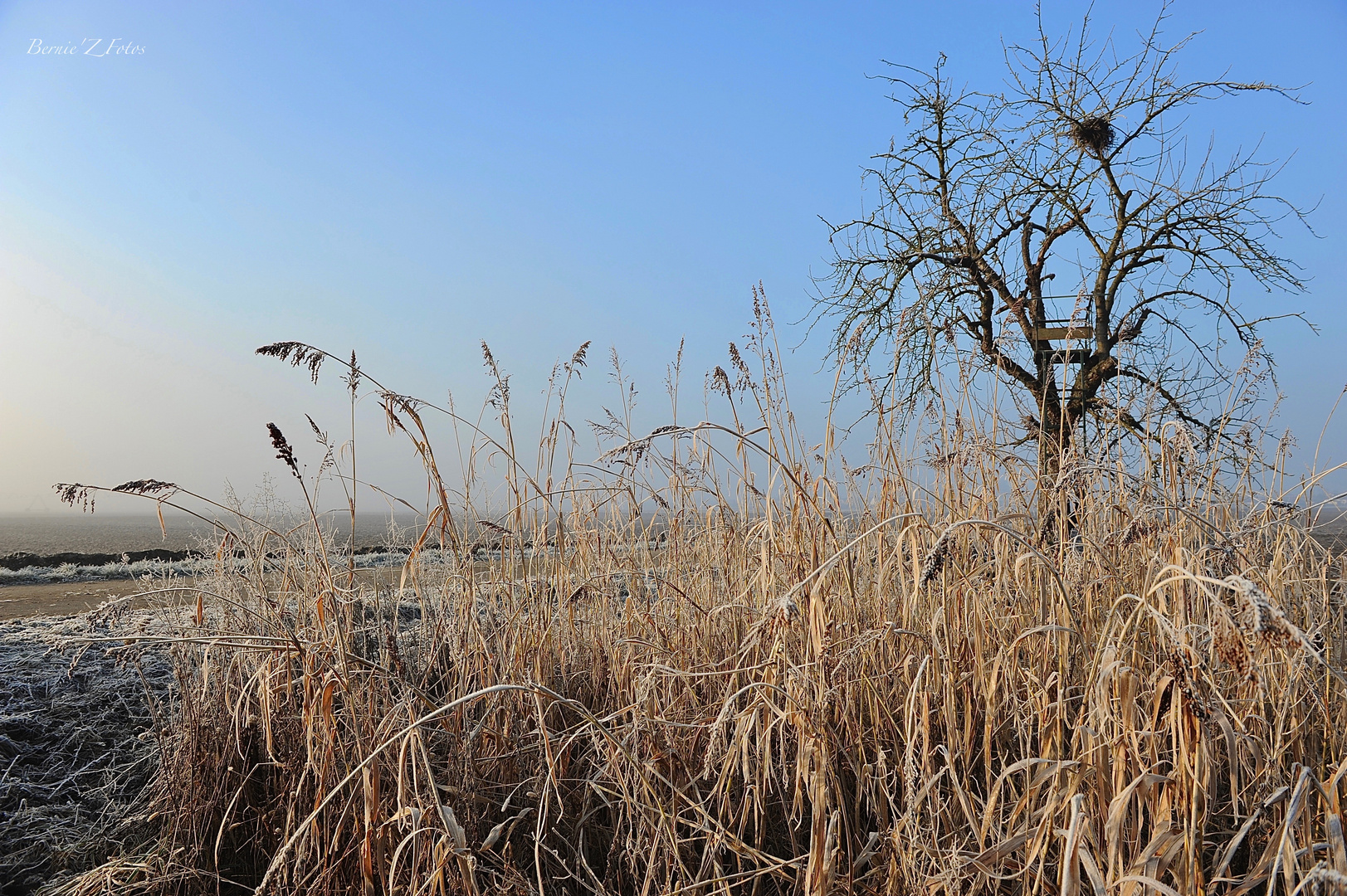 hiver en rase campagne