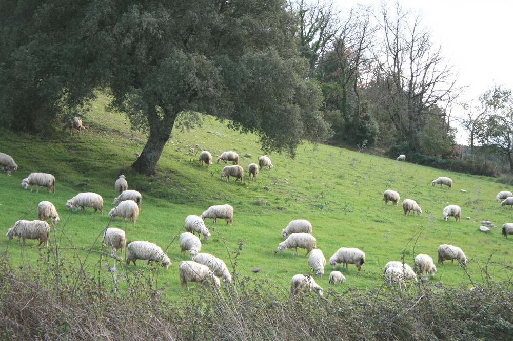 Hiver en Sardaigne