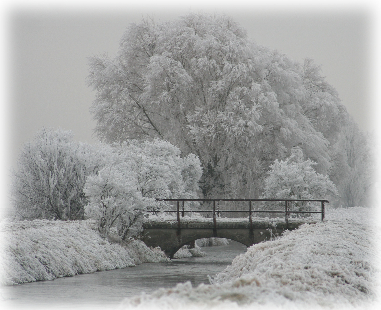 Hiver, le petit canal