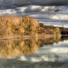 HIVER SUR LE LAC