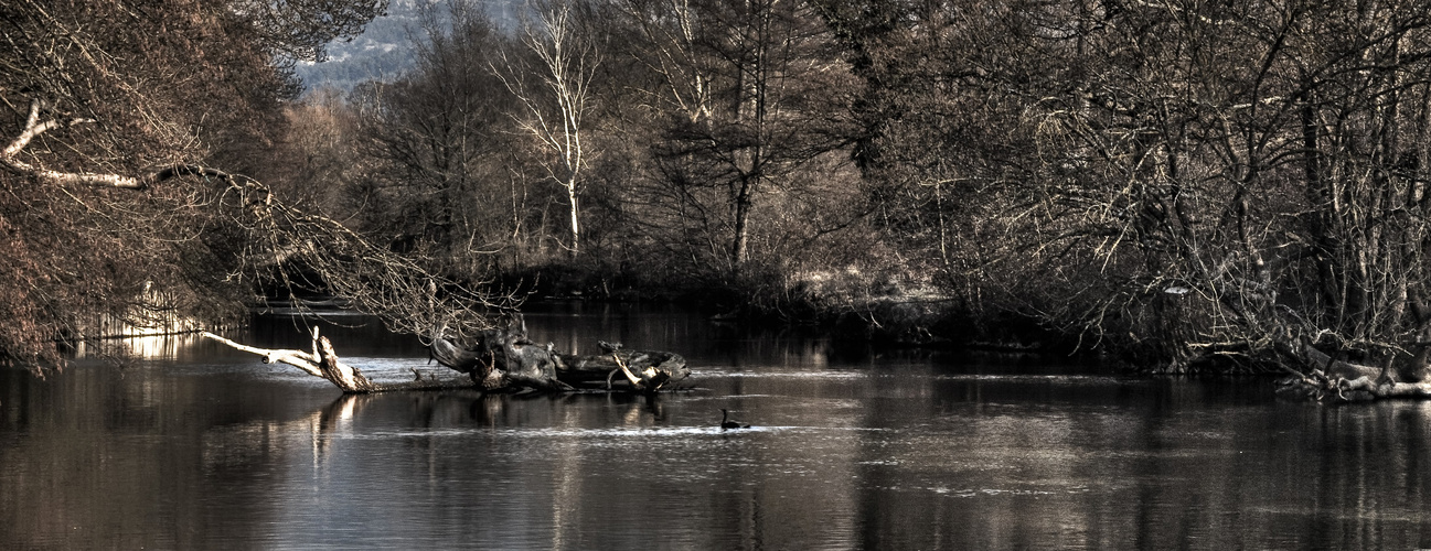 HIVER SUR SORGUE