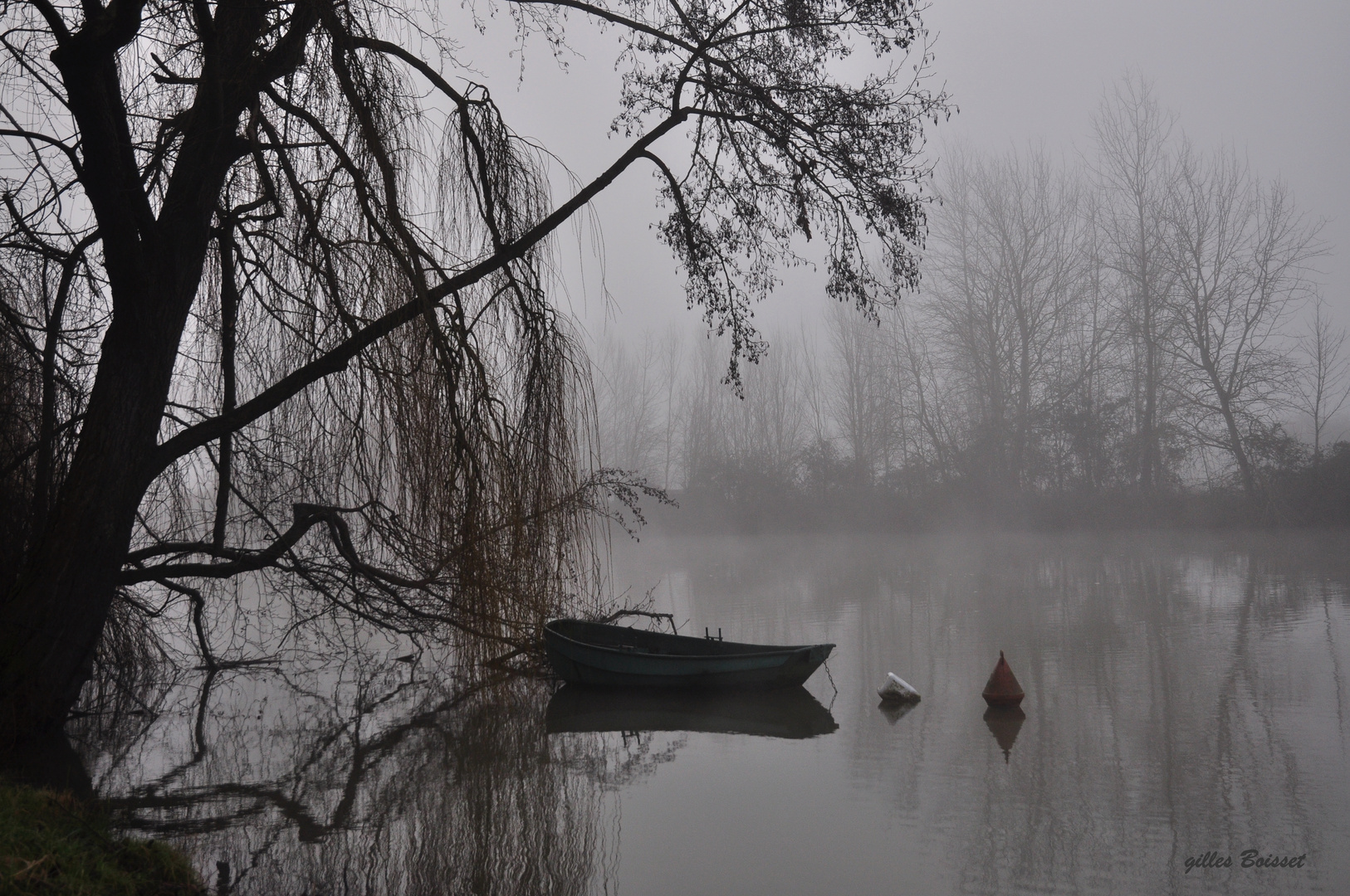 hiverner dans la brume