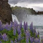 ~ Hjálparfoss ~